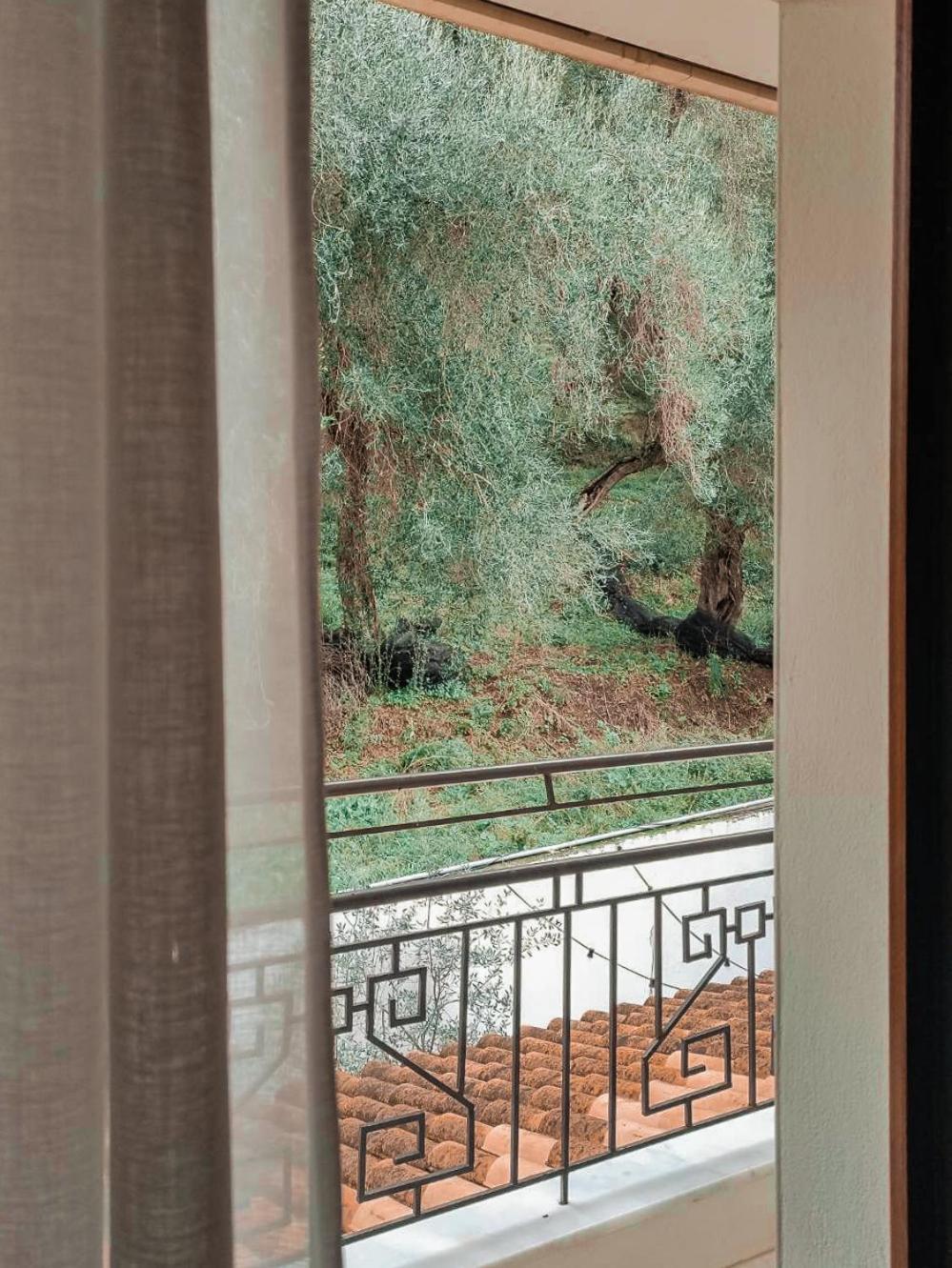 Dracos Hotel Párga Zewnętrze zdjęcie